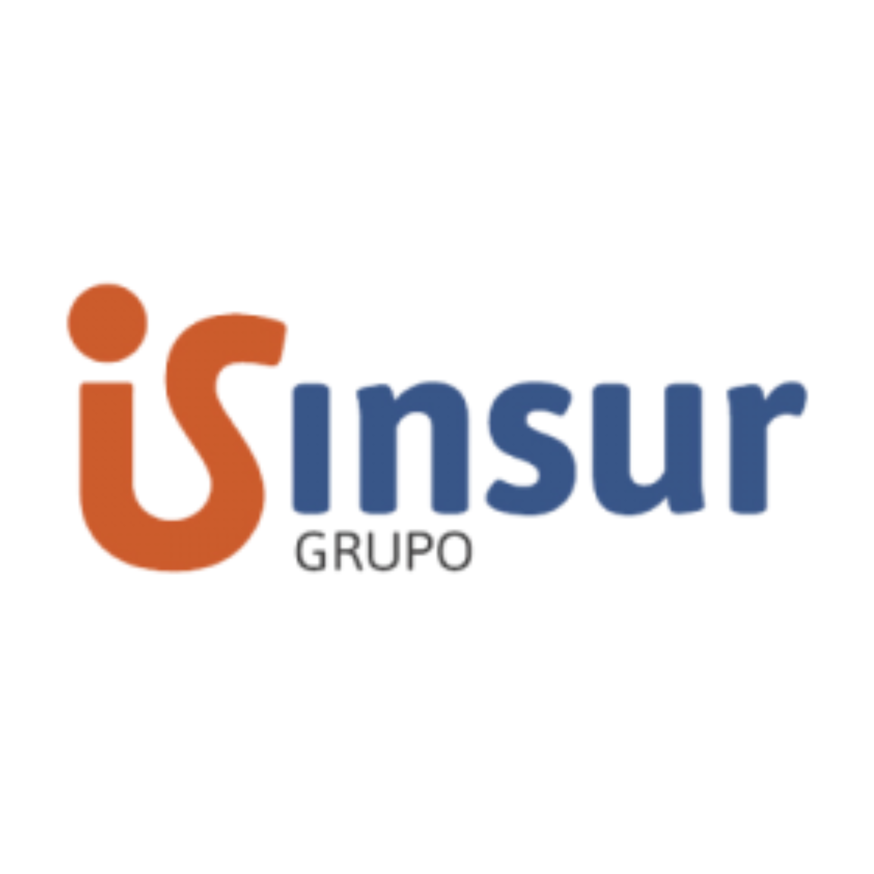 Logo Insur